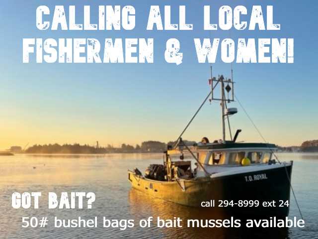 Bait Bushel Bags 50# *******for pick up only********